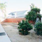 9844 Bend Santee, CA, 92071