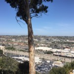 1838 Mission Cliff Dr, San Diego, CA 92116