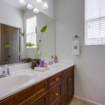 1411 Calabria Street, Santee, CA 92071