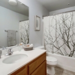 4976 Haight Terrace, San Diego, CA 92123